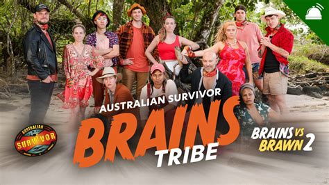 Survivor AU: Brains v Brawn II | Brains Cast Assessment ...