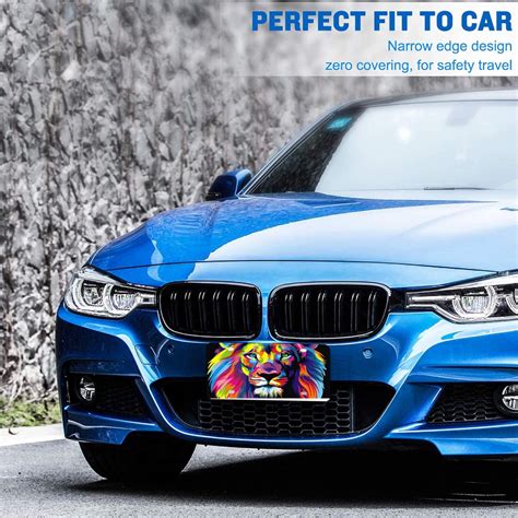 Buy Banksy Rainbow Lion Graffiti Pop Art License Plate Decorative Car ...