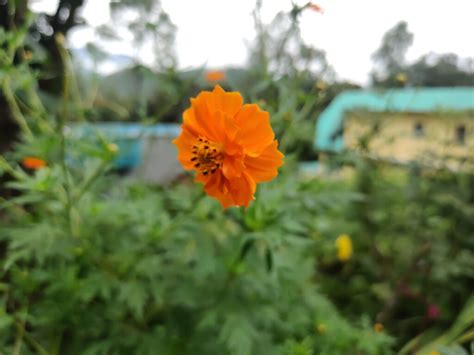 Python Get Image Metadata 的图像结果