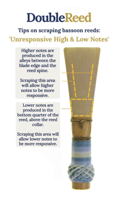 Bassoon Reed Tips Poster