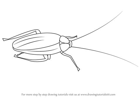 Image result for How to Draw a Cockroach Step by Step