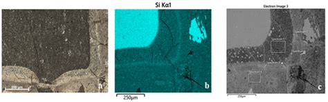 Optical and Electronic Microscope for Minero-Petrographic and ...