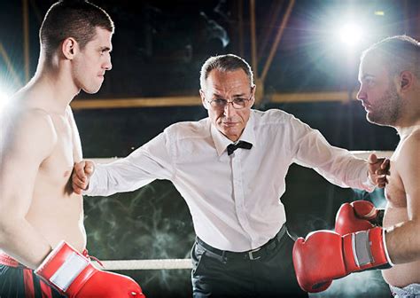 Boxing Match Referee 的图像结果