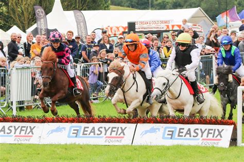 Shetland Pony Grand National - Home
