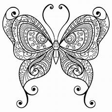 malvorlagen schmetterling jung malvorlagen schmetterling f 252 r erwachsene malvorlagen schmetterling jung malvorlagen schmetterling f 252 r erwachsene