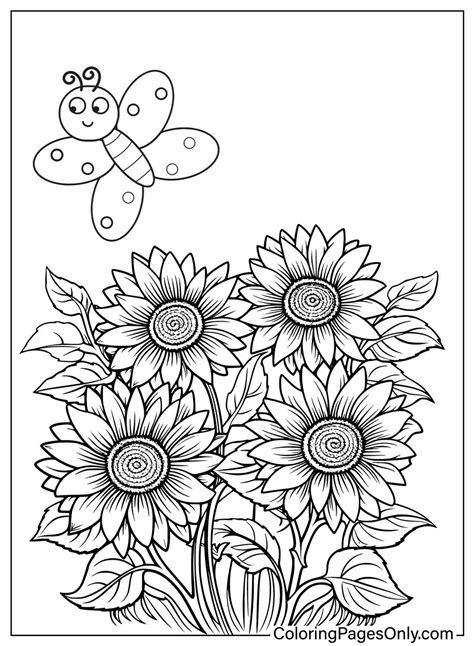 Sunflower Coloring Pages Printable Adult Sheets Sunflowers Flower ...