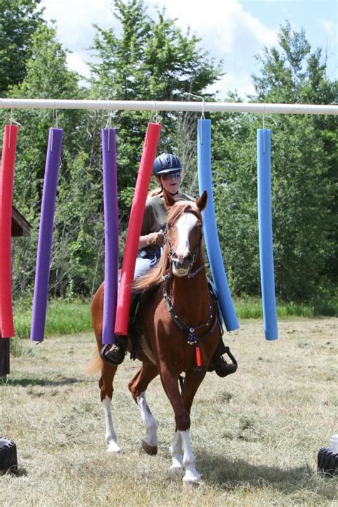 Horse Riding Simulator Exercise Machine 的图像结果