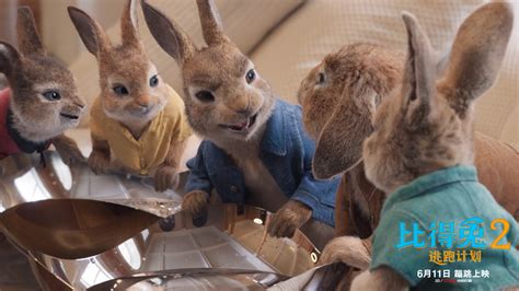 《比得兔2：逃跑计划》发布郭麒麟配音版预告 6月11日影院吸兔 - 360娱乐，你开心就好