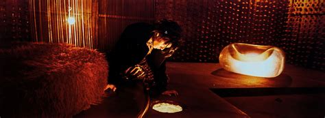 Image result for Large Turtle Shell