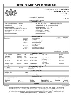 Fillable Online York County Court Docket For July 31PDF Fax Email Print ...