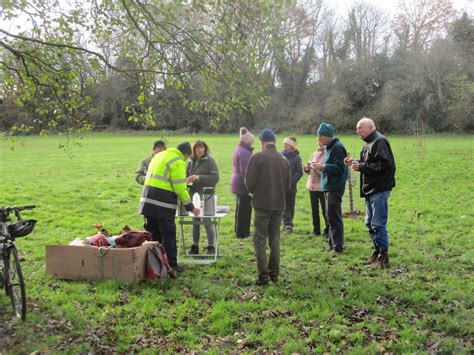 Volunteering 的图像结果