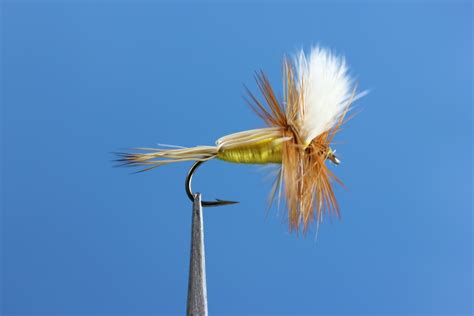 Image result for Foam Humpy Fly Pattern