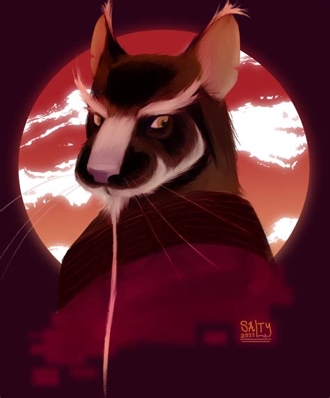 Image result for Master Splinter Fly