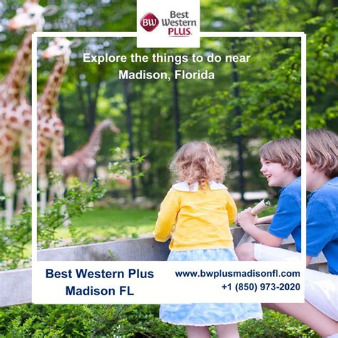 Best Western Plus Madison FL on LinkedIn: #fortmack #oldbookstore # ...
