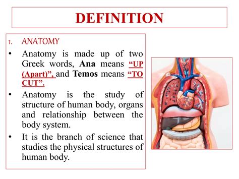 INTRODUCTION OF HUMAN BODY (ANATOMY & PHYSIOLOGY).pptx