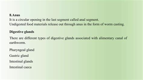 Earthwarm digestive system | PPTX