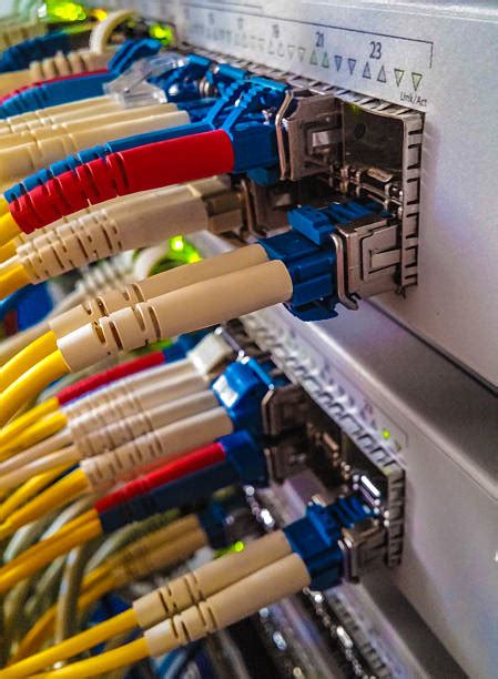 Cord Computer Simulation 的图像结果