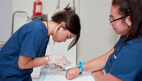 Phlebotomy Technician | Phlebotomy Program