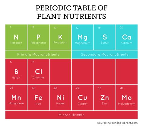 The Essential Nutrients for Hydroponic Success