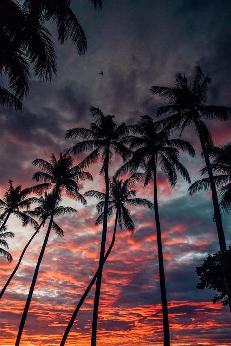 Image result for Wallpaper Programming Java Smartphone