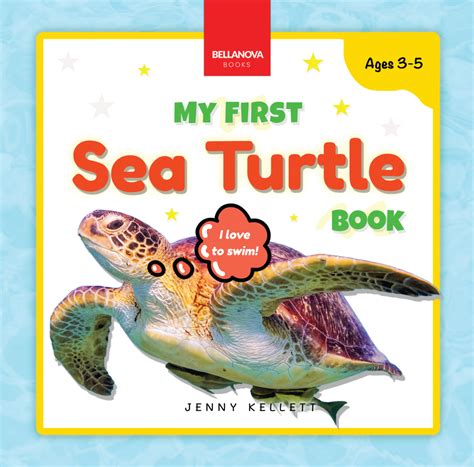 Image result for Python Turtle Books