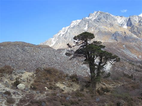 Why Kanchenjunga Is the Best Off-the-Beaten-Path Trek in Nepal