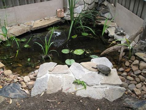 Image result for Spring Program Example