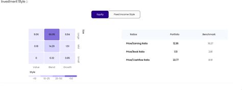 What is Portfolio Analyzer Report?
