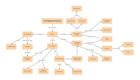 Concept Map Templates and Examples | Lucidchart Blog