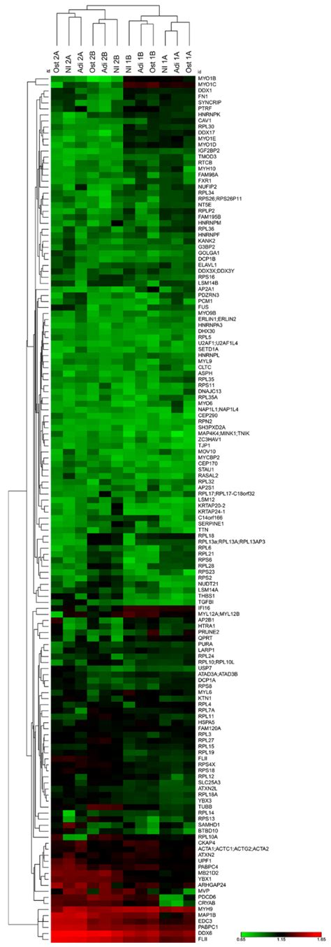 DDX6 Helicase Behavior and Protein Partners in Human Adipose Tissue ...