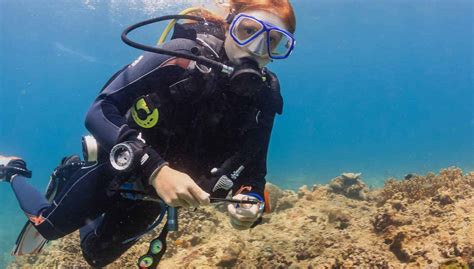 Bautismo de buceo en Boracay, Malay - Central de Reservas