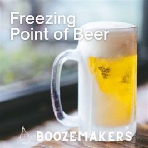 The Freezing Point of Alcoholic Drinks - BoozeMakers