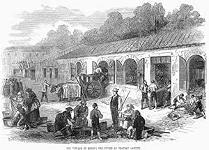 France Winemaking 1871 grapes Being Brought To Chteau Lafite For The ...