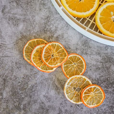 Dehydrated Oranges (dehydrator and oven directions) | Hilda's Kitchen Blog