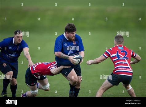 Rugby Matches 的图像结果