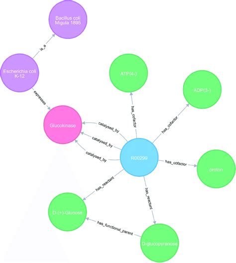 Query Syntax Output 的图像结果