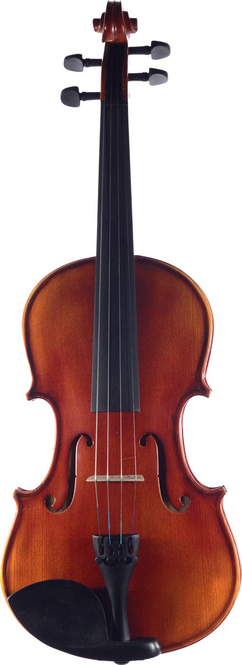 Image result for Pictures of String Instruments