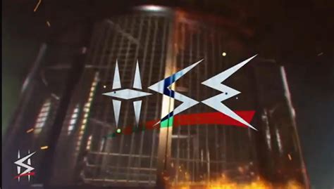 Logo mashup between WWE and HSE, the Irish healthcare system, in the ...