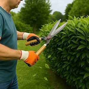 Cinagro Garden Hedge Shears with Wooden Handle, 4mm Thick Heavy Duty ...