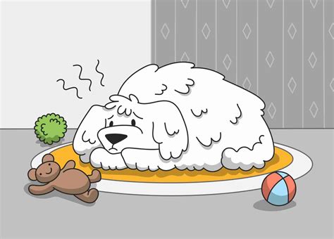 Can Dogs be Autistic? Possible Causes and Signs of Autism in Dogs