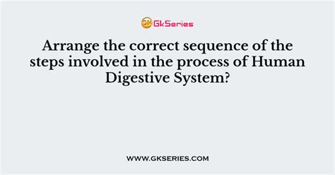 Digestive System Process Step by Step 的图像结果