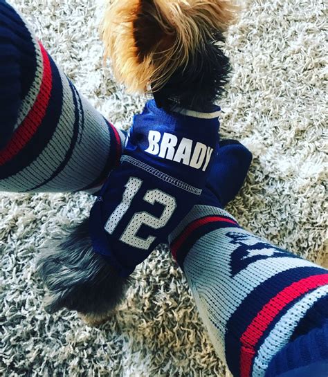 TW Pornstars - 1 pic. TAYLOR STEVENS™ ONLYFANS.COM/TAYSTEVENS. Twitter. FKKKKK YEAHHH !! we love ...