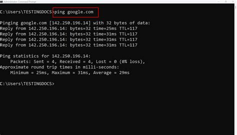 Ping Command 的图像结果