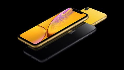 Harga Pasaran iPhone XR Terbaru: Panduan Lengkap Sebelum Membeli