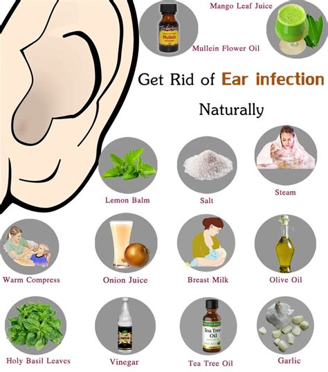 ear infection home remedy