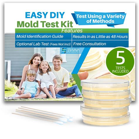 Air Mold Test Kit - Evviva Sciences - 5 Simple Mold Detection Tests ...