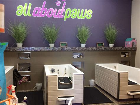All About Paws - North Las Vegas, NV - Pet Supplies