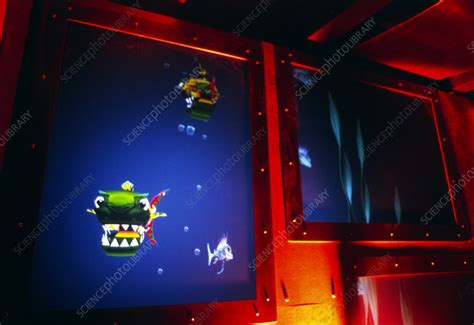 Computer Fish Tank Virtual Free Programs 的图像结果