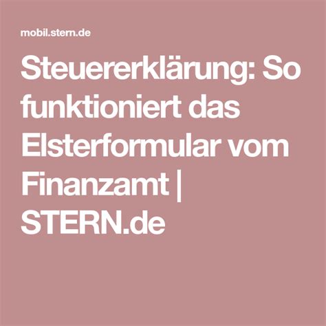 ElsterFormular Tutorial 的图像结果