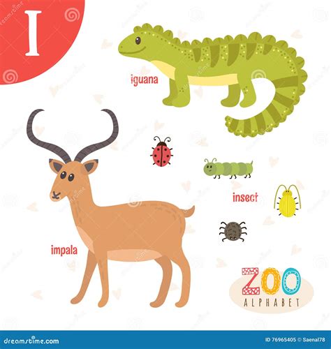 Funny Cartoon Animals